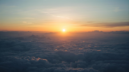 永續不只是減碳：長榮事件與台灣企業的「人性赤字」